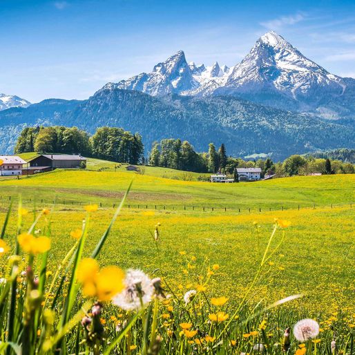 Hotel Angebote August