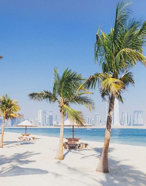 Palmen am Strand von Dubai mit der Skyline der Stadt im Hintergrund