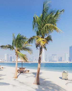 Palmen am Strand von Dubai mit der Skyline der Stadt im Hintergrund