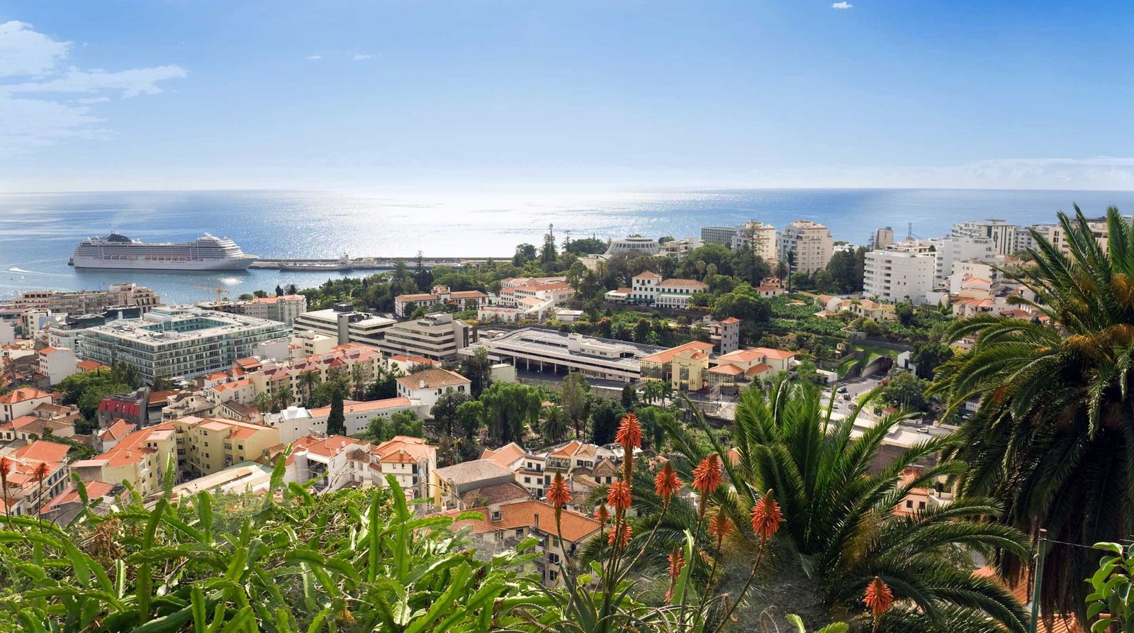 Madeira Portugal Funchal Stadt