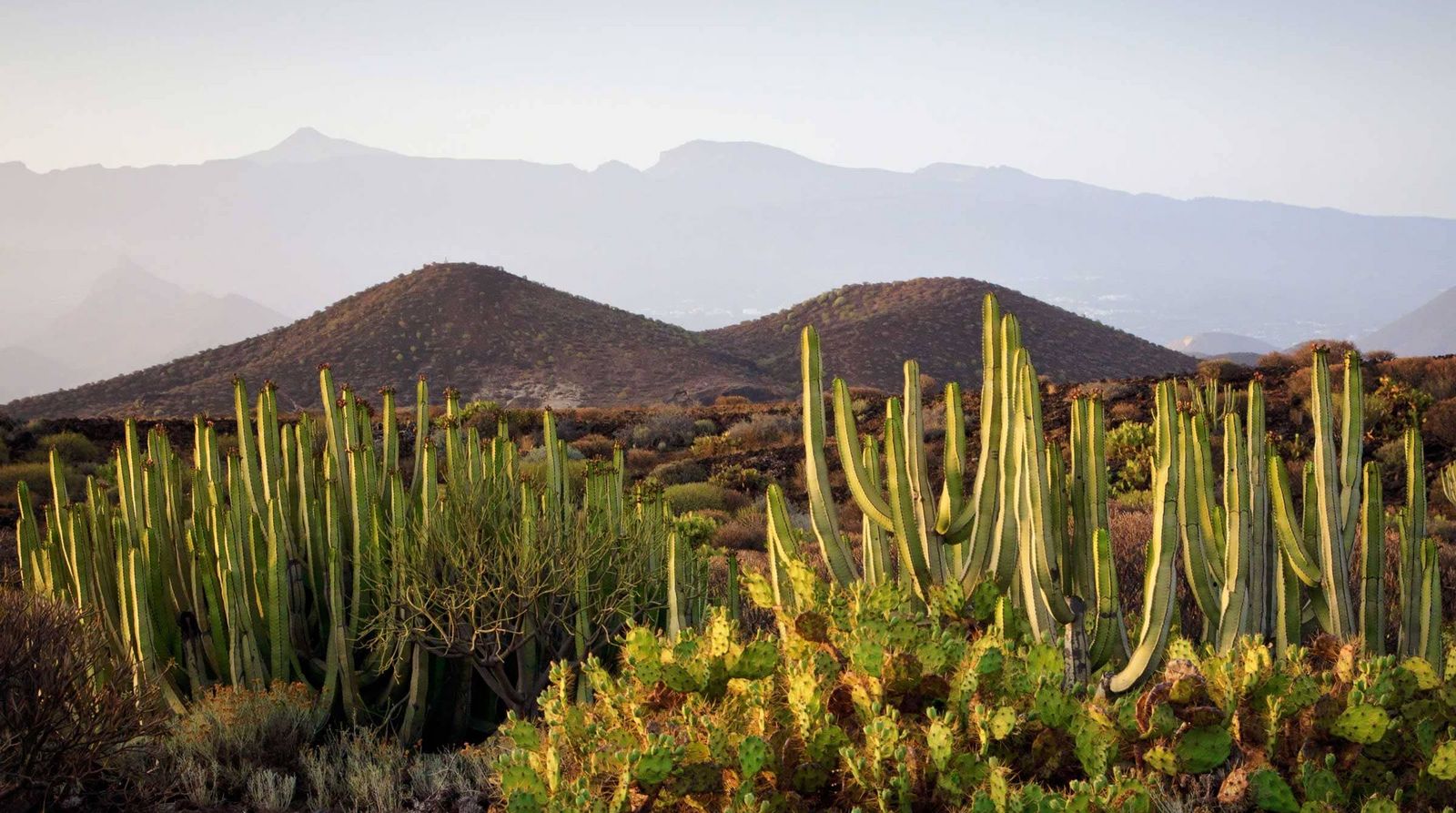Fuerteventura Spanien Ferien buchen