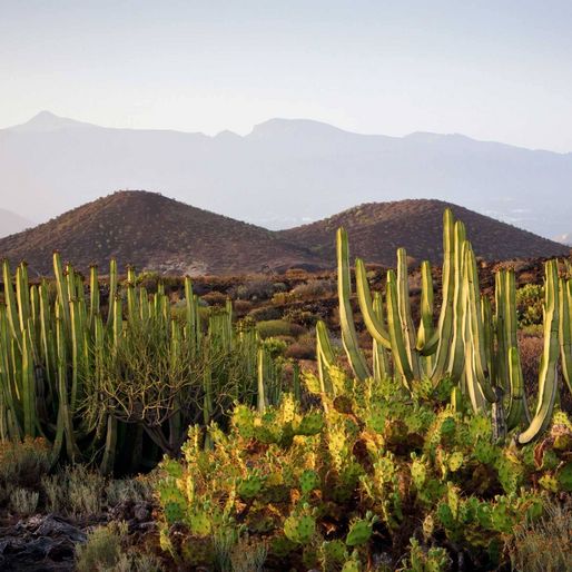 Fuerteventura Spanien 03