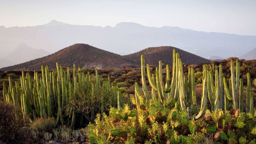 Fuerteventura Spanien 03 Fuerteventura Spanien 03