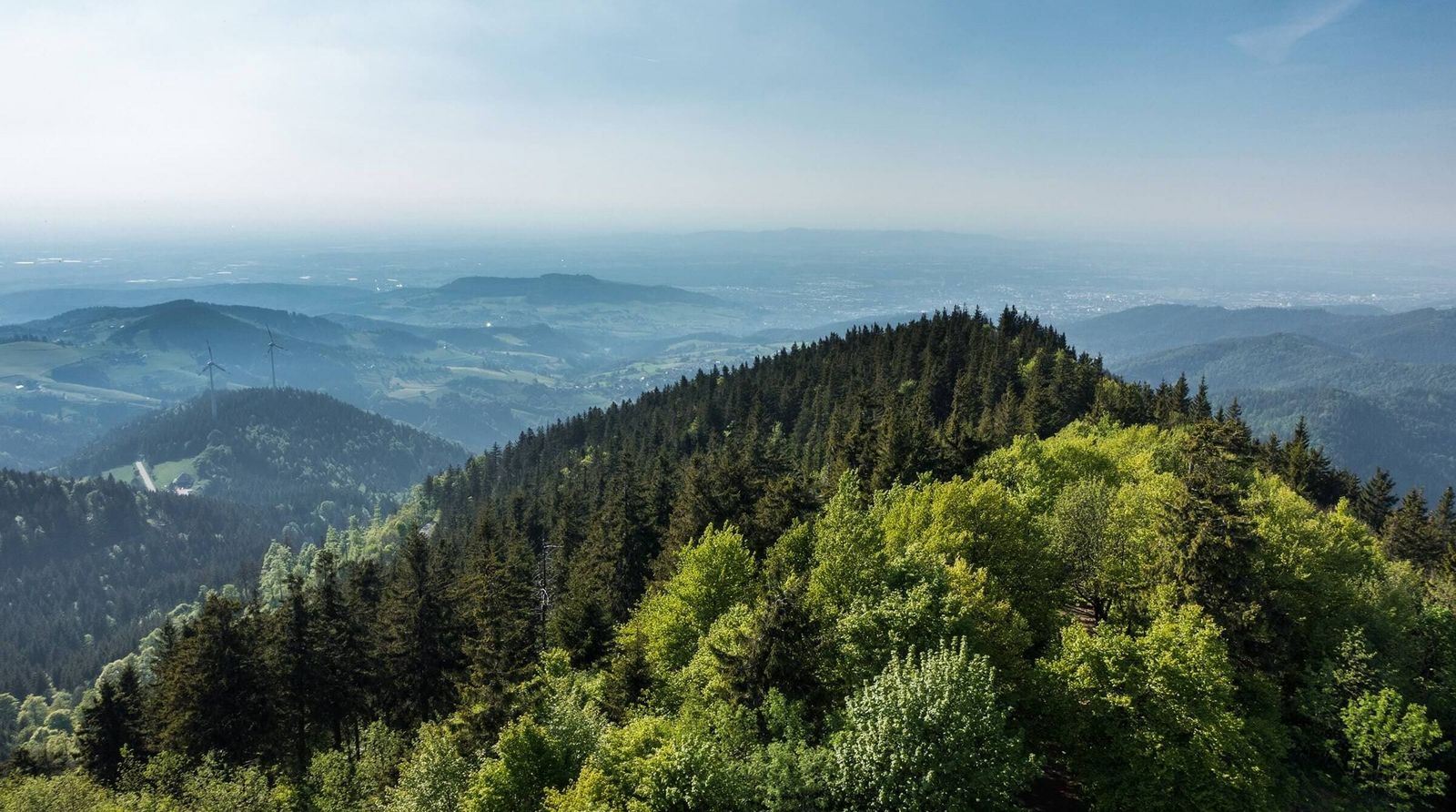 Schwarzwald Schwarzwald Deutschland Ferien