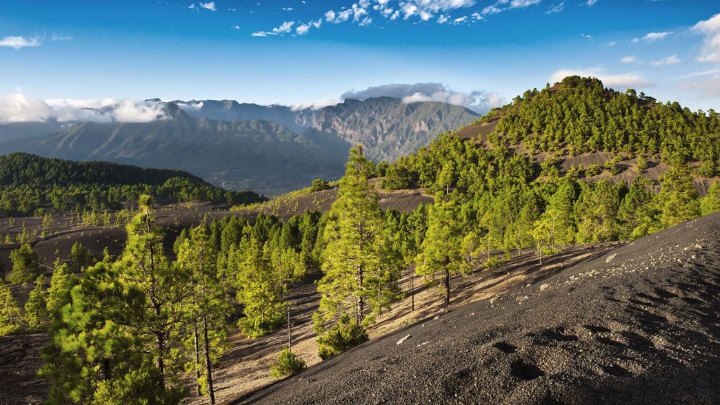 La Palma Spanien 04 La Palma Spanien 04