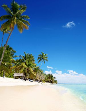 Ausblick auf den langen und weissen Traumsandstrand in Punta Cana