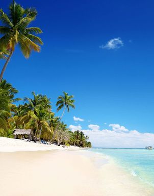 Punta Cana Dominikanische Republik Ausblick auf den langen und weissen Traumsandstrand in Punta Cana