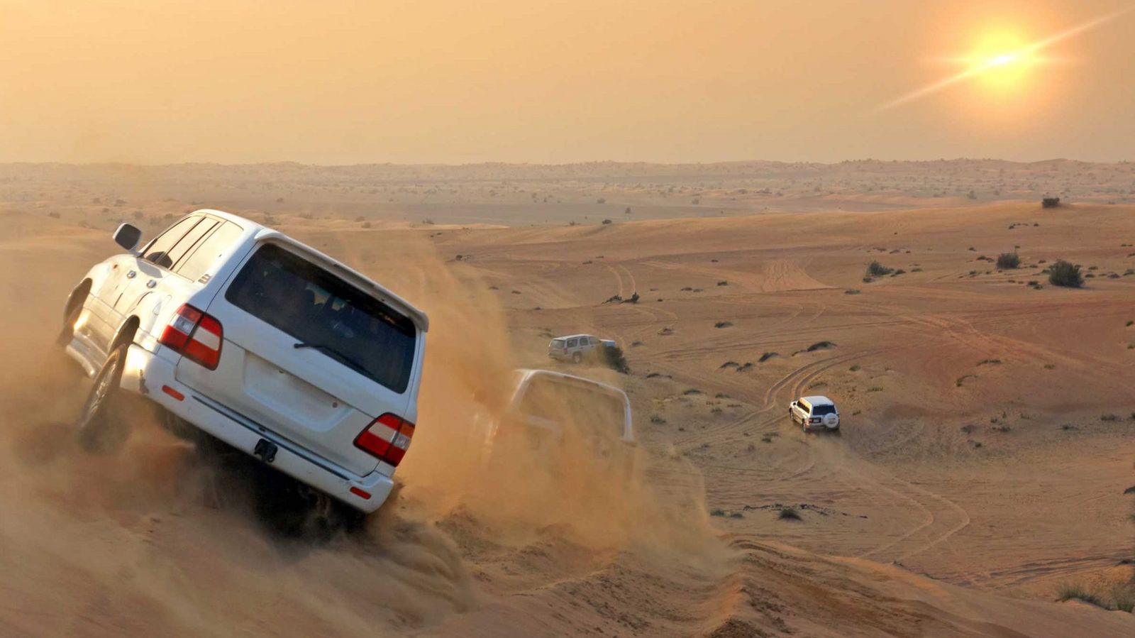 Vereinigte Arabische Emirate Wueste