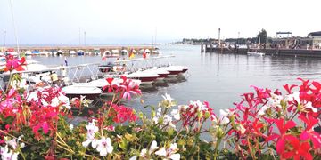 Gardasee mit Hund Reiseblog