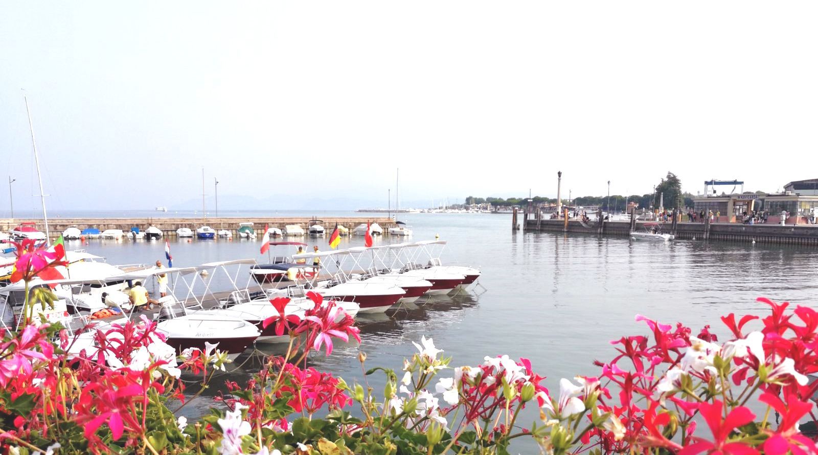 Gardasee mit Hund Reiseblog Reisebericht