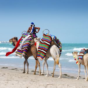 Djerba Tunesien Ferien buchen