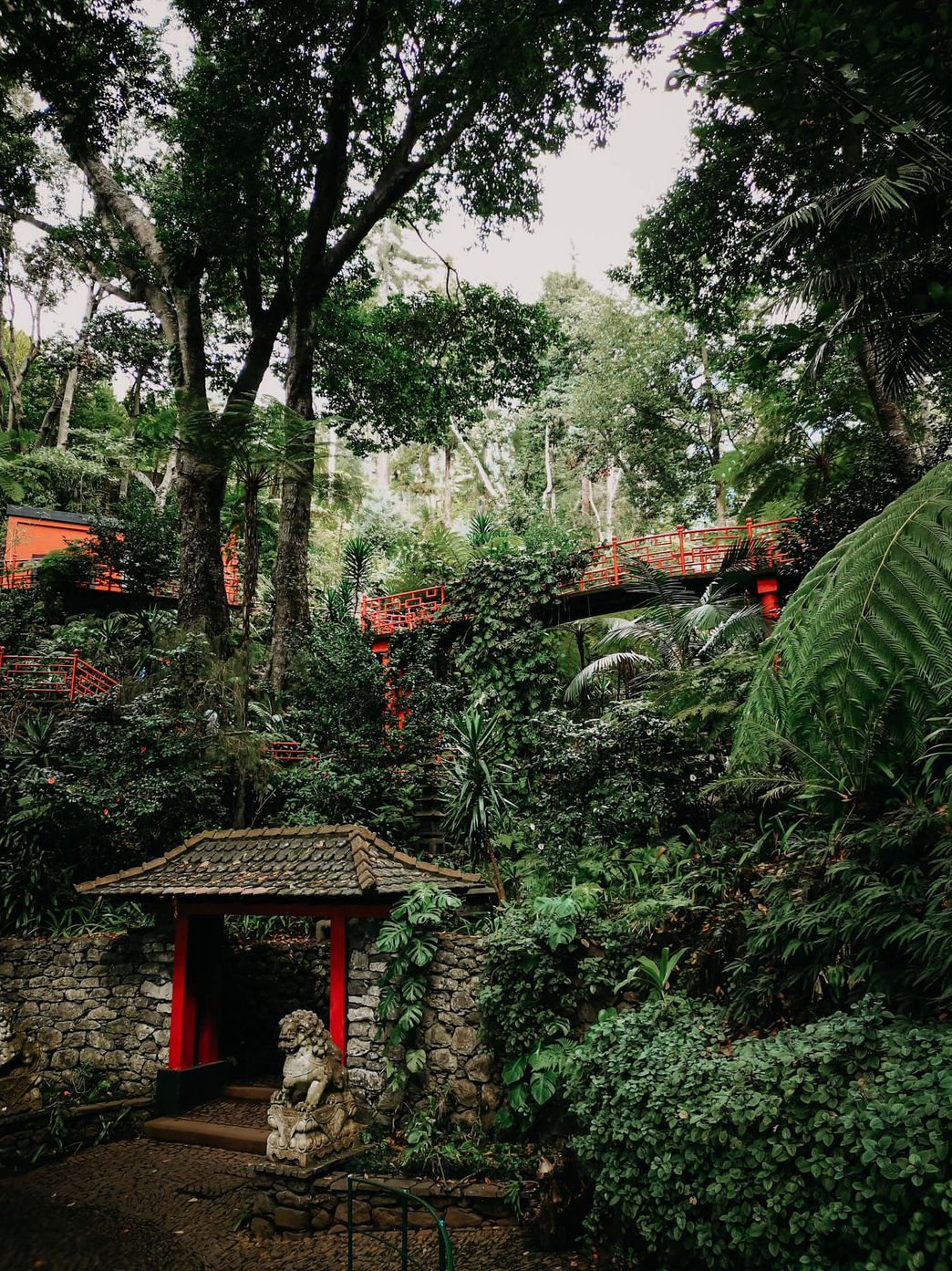 Botanischer Garten Funchal Parque Botanico Madeira