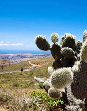 All Inclusive Ferien Gran Canaria