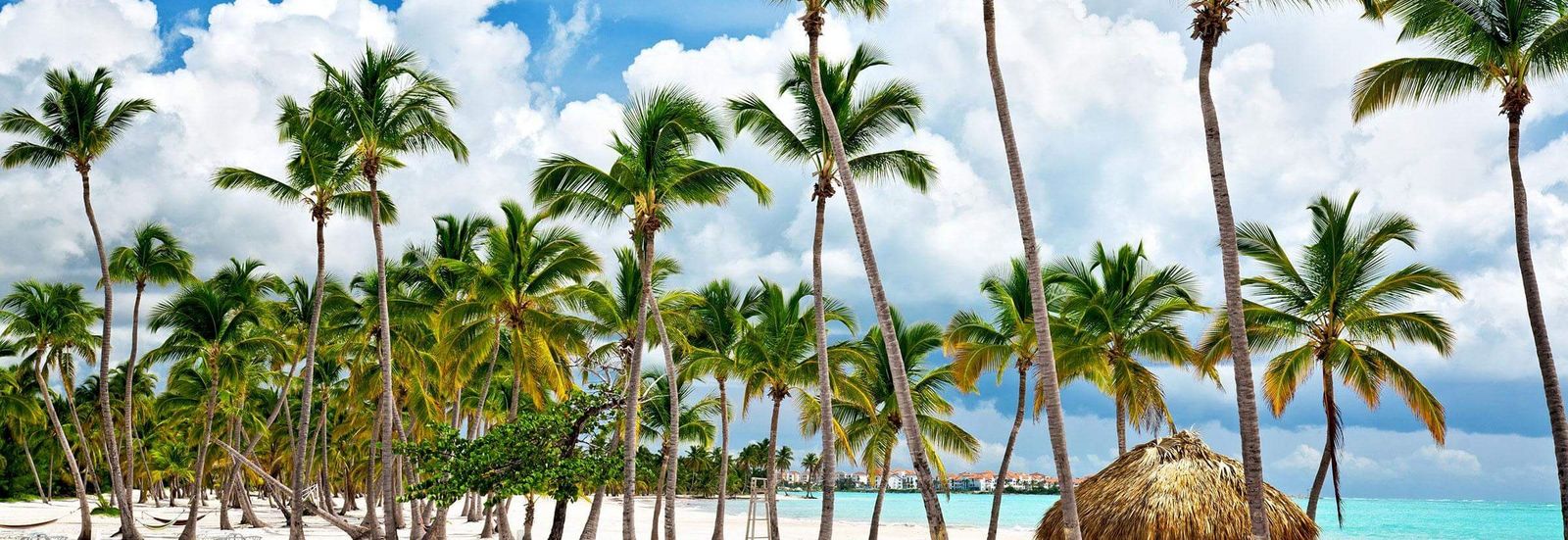 Wohin im Januar reisen?