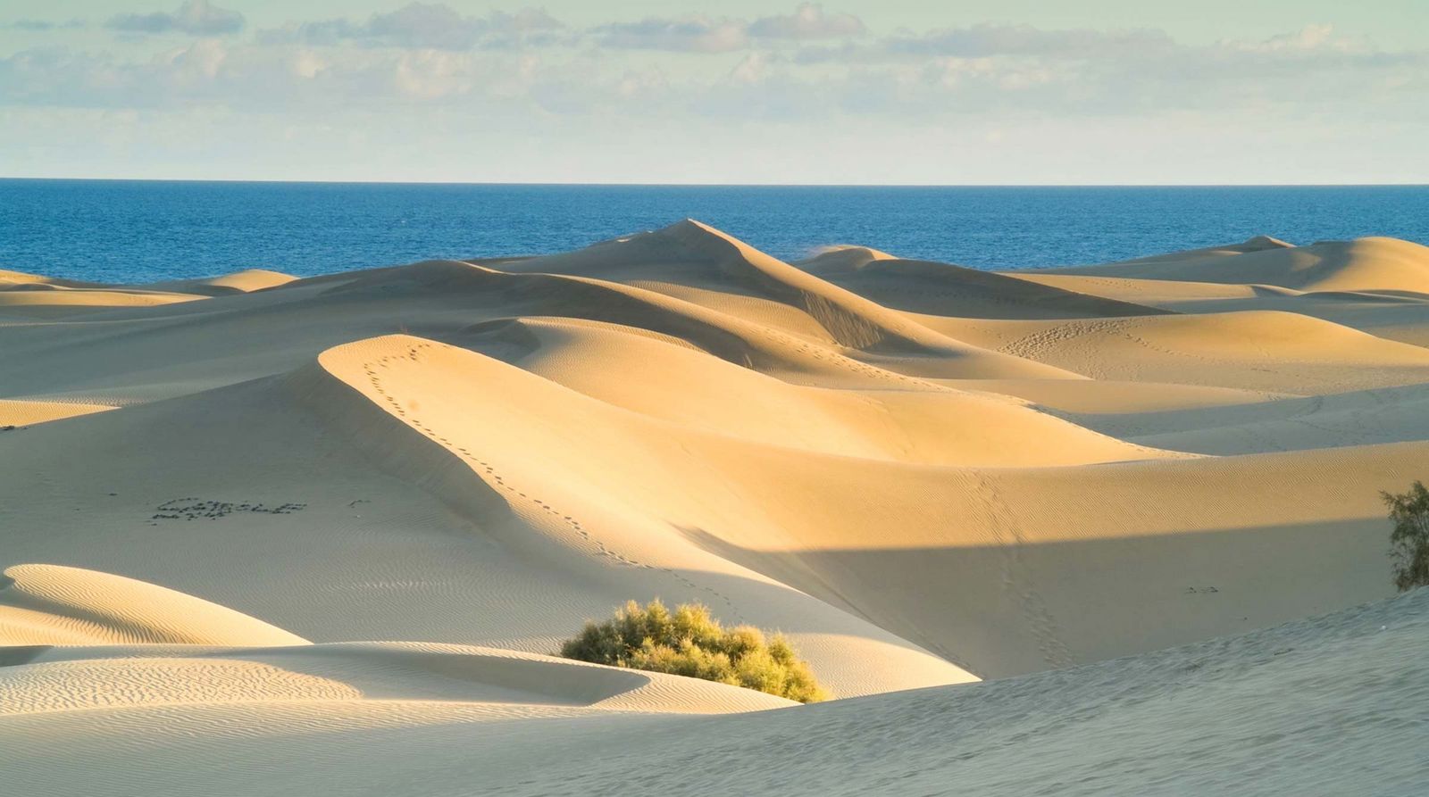 Sanddünen auf Gran Canaria Kanarische Inseln