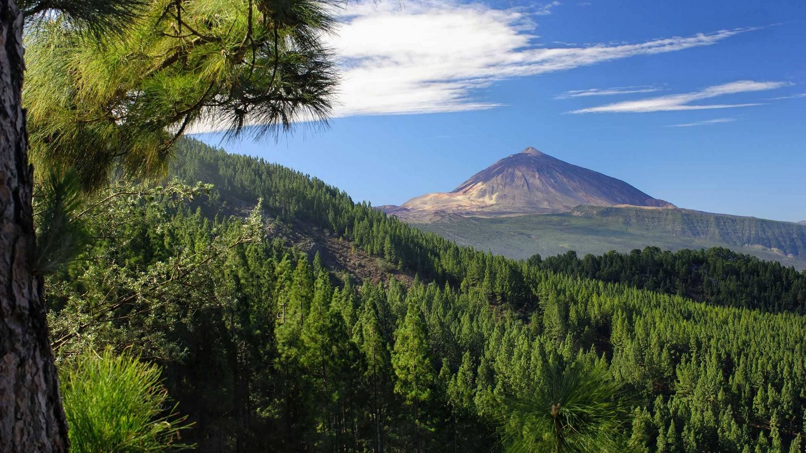 Teneriffa Spanien Ferien