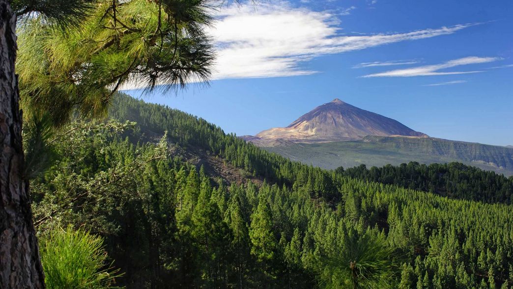 Teneriffa Spanien 03 Teneriffa Spanien 03