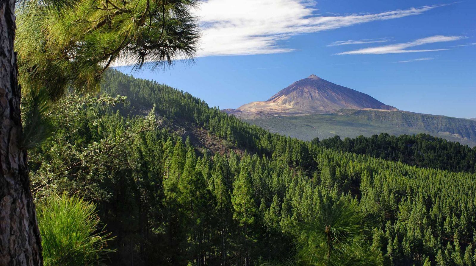 Teneriffa Spanien 03