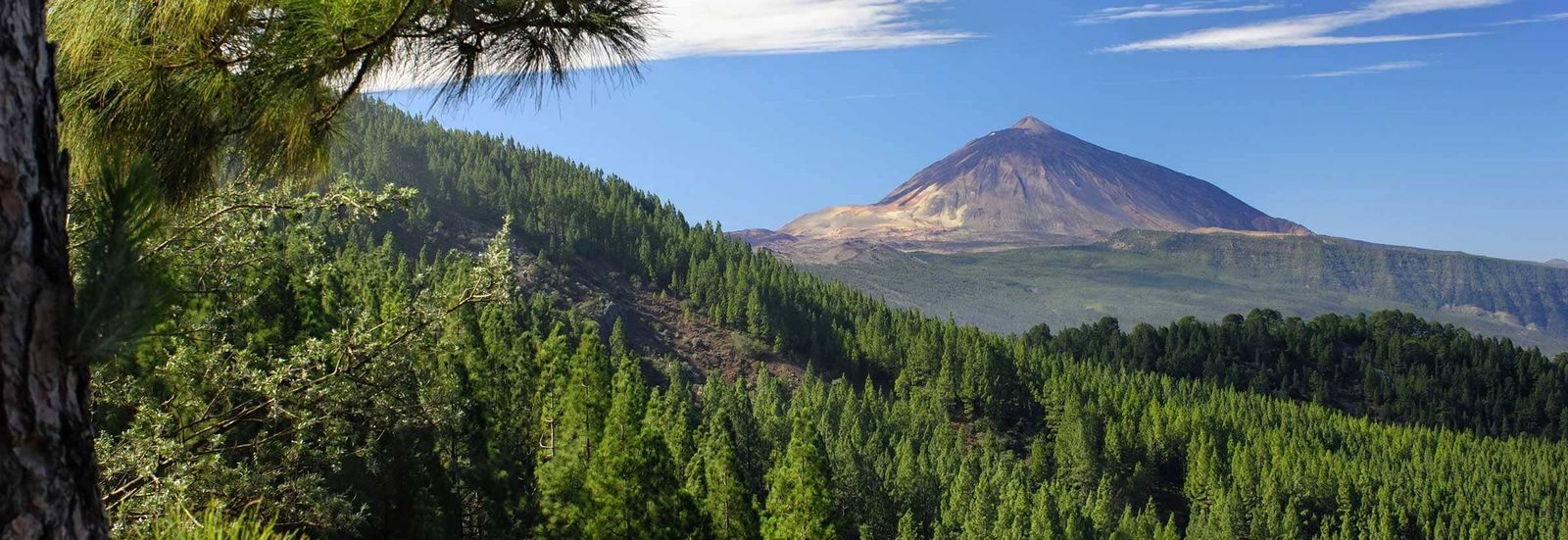 Teneriffa Spanien 03