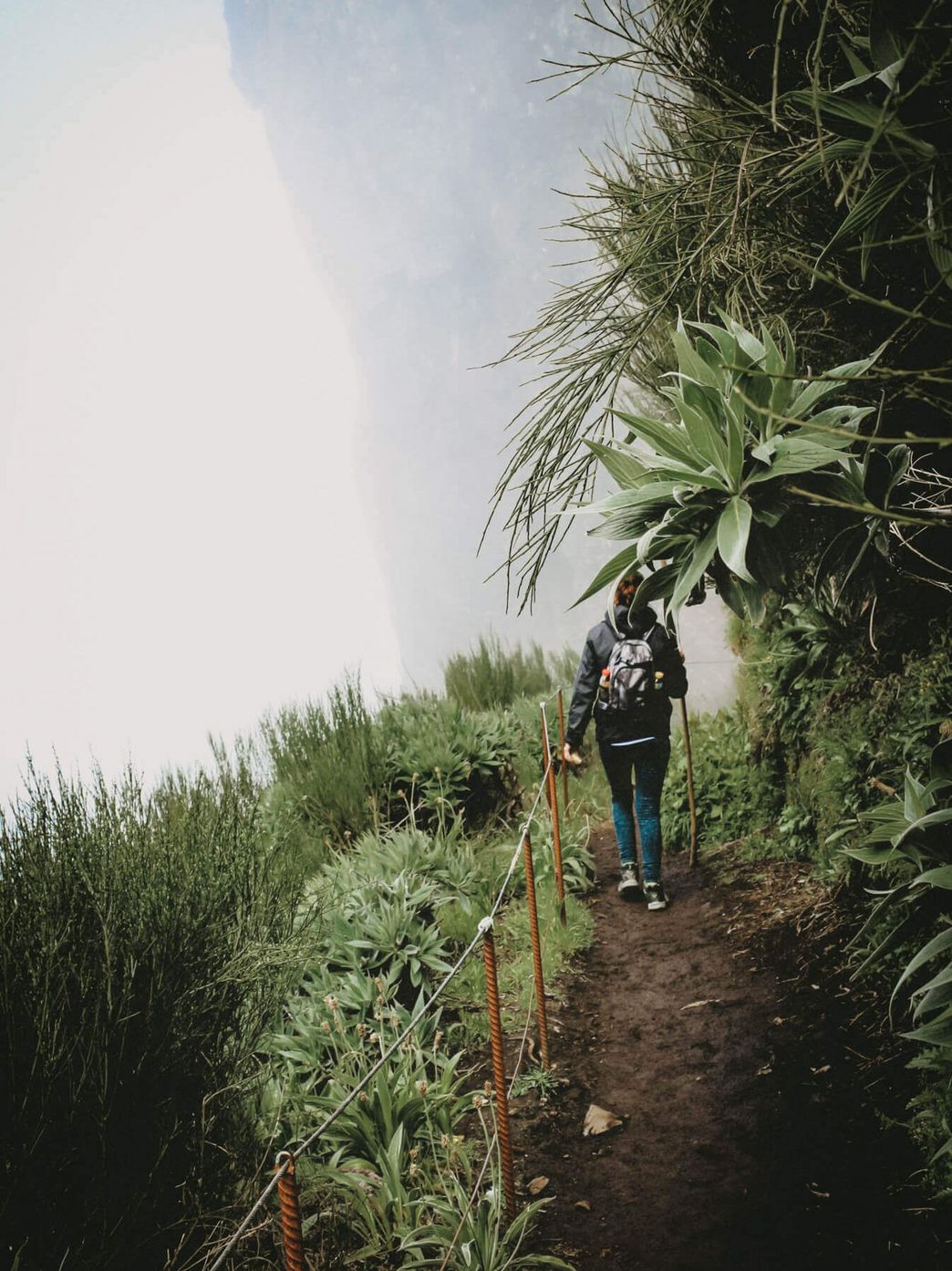 Wandern Madeira Wandern Madeira