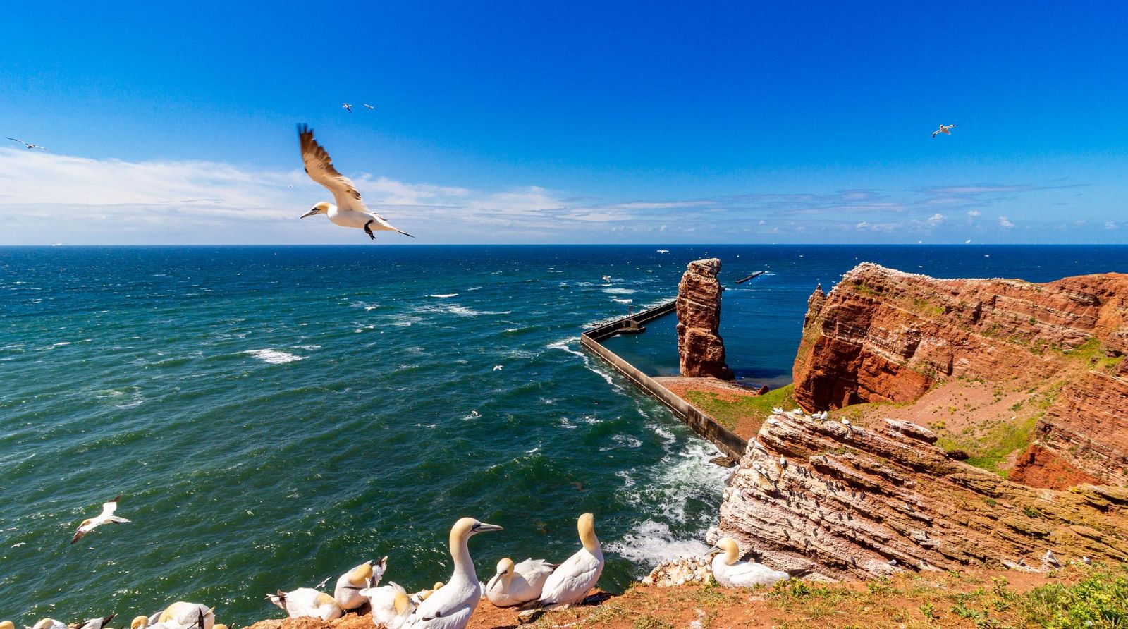 Küste von Helgoland