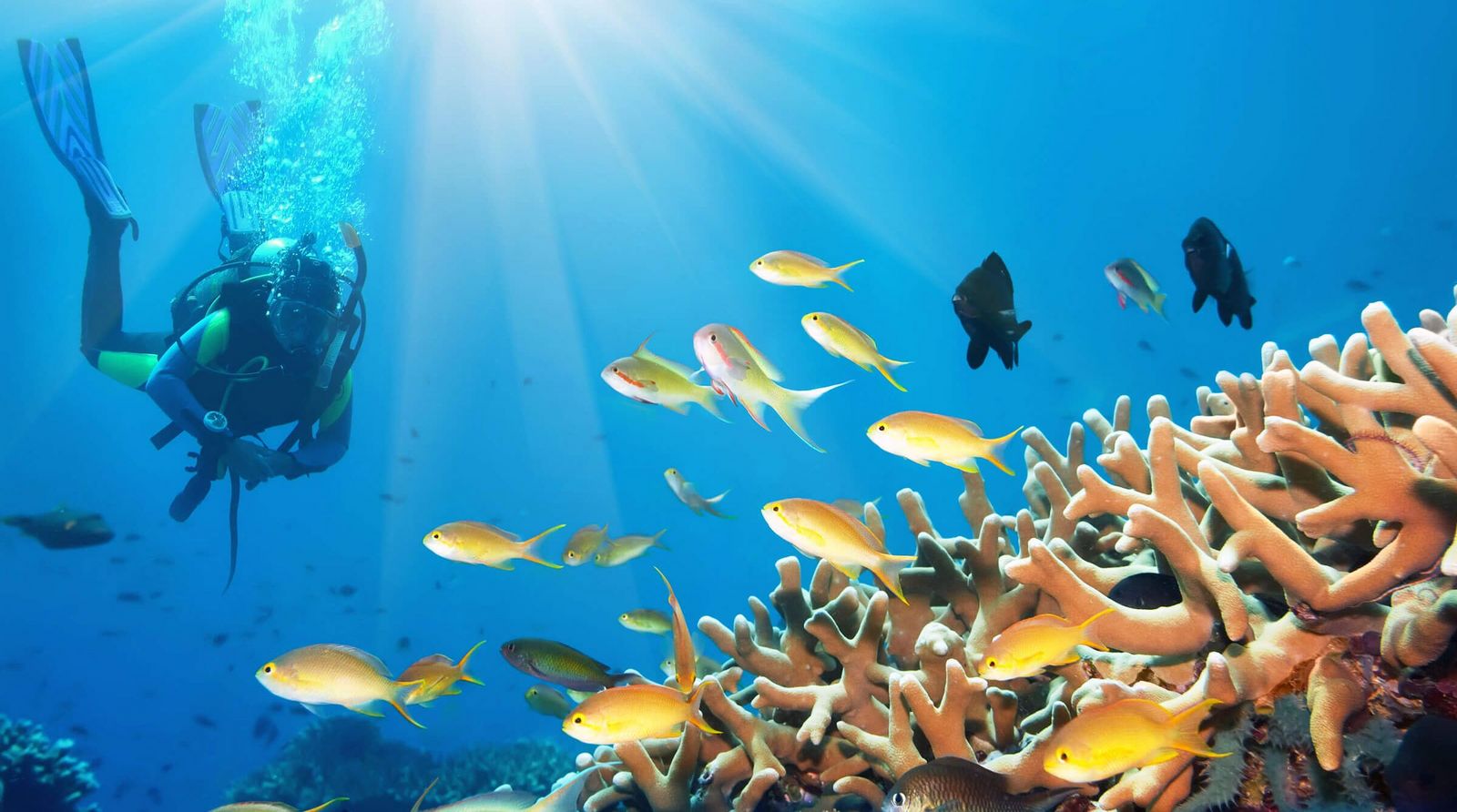 Sharm El Sheikh Sharm El Sheikh Aegypten Tauchferien