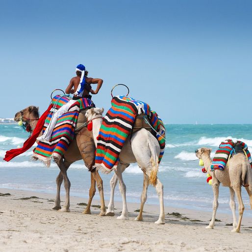 Albanien Ferien August