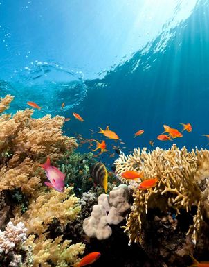 Wellnessferien Aegypten