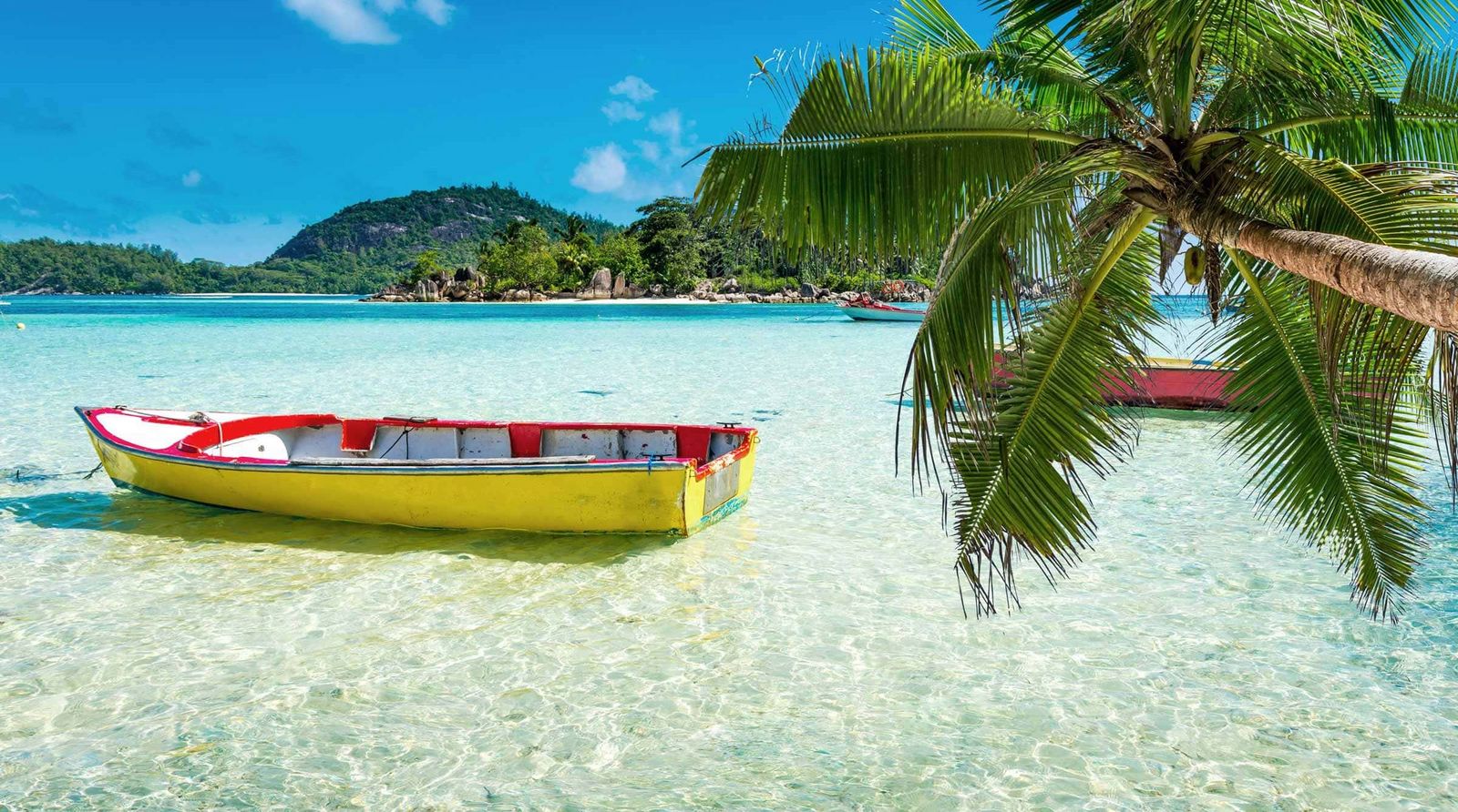 Seychellen Meer und Palmen