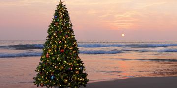 5 aussergewöhnliche Orte, um Weihnachten zu feiern