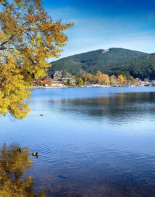Kurztrip Schwarzwald