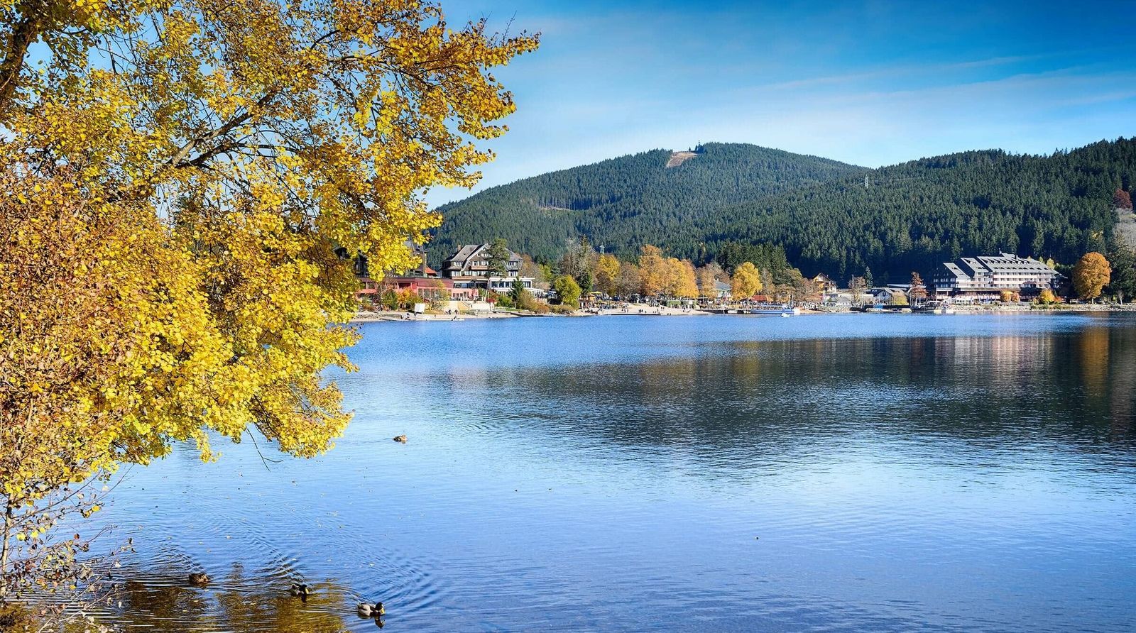 Schwarzwald Schwarzwald Deutschland Titisee