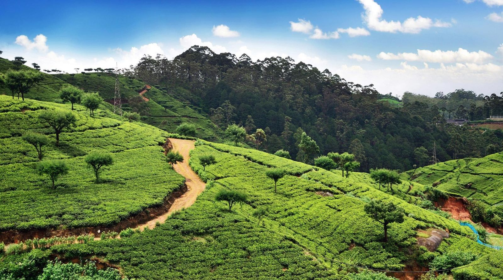 Sri Lanka guenstig buchen