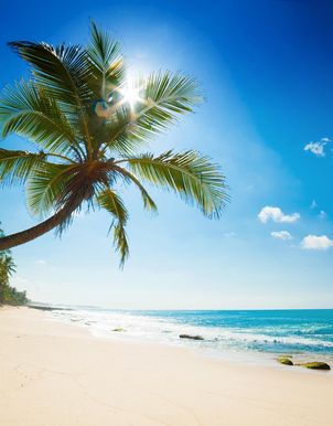 All Inclusive Ferien Sri Lanka