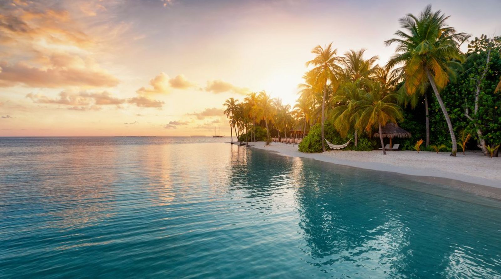 Malediven Palmenstrand Hängematte Indischer Ozean