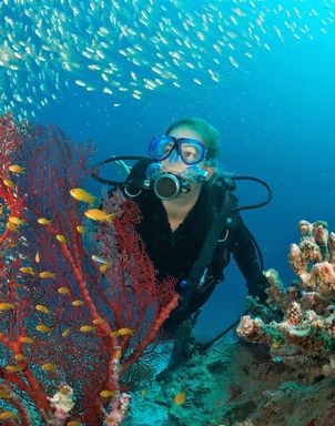 Tauchferien Malediven