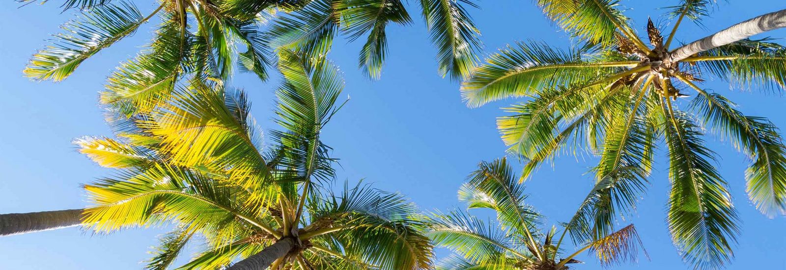 Reisekalender ITS Coop Travel