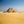 die Pyramiden von Aegypten in der Wüste mit zwei Kamelen im Vordergrund