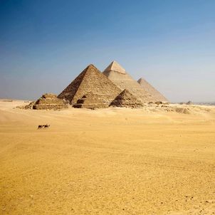 die Pyramiden von Aegypten in der Wüste mit zwei Kamelen im Vordergrund