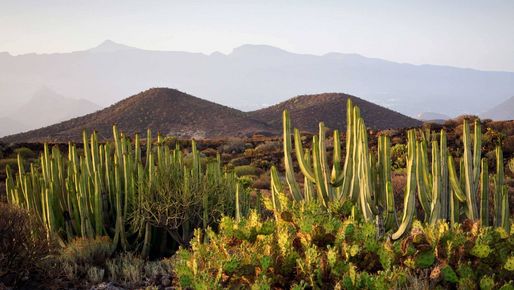 Teneriffa Spanien 01 Teneriffa Spanien 01