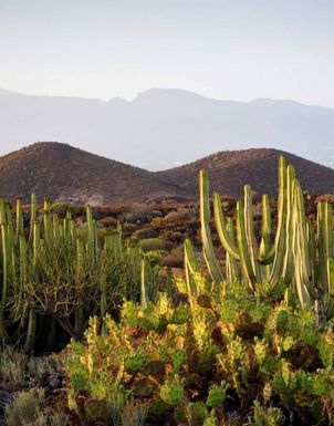 Kanaren guenstig buchen Winter