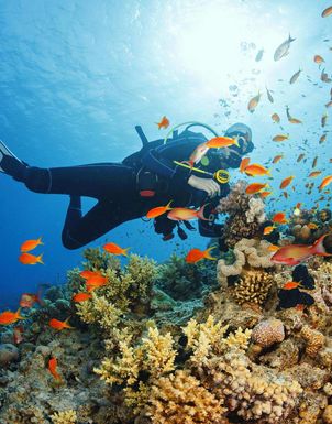 Tauchferien Indischer Ozean