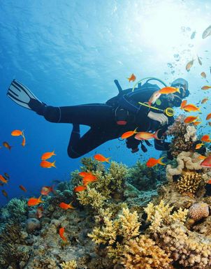 Tauchferien Mauritius und Seychellen