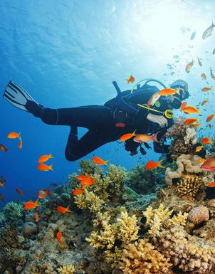 Tauchferien Phuket Tauchferien