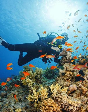 Tauchferien Tauchferien Jamaika