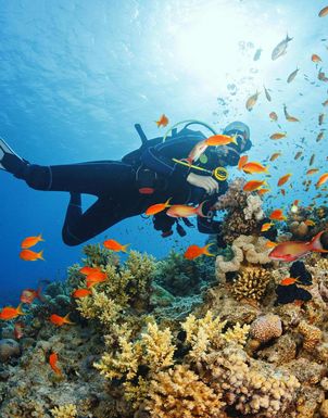 Tauchferien Sharm El Sheikh