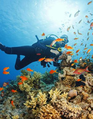 Tauchferien Marsa Alam Tauchferien