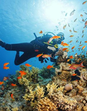 Tauchferien Varadero Tauchferien