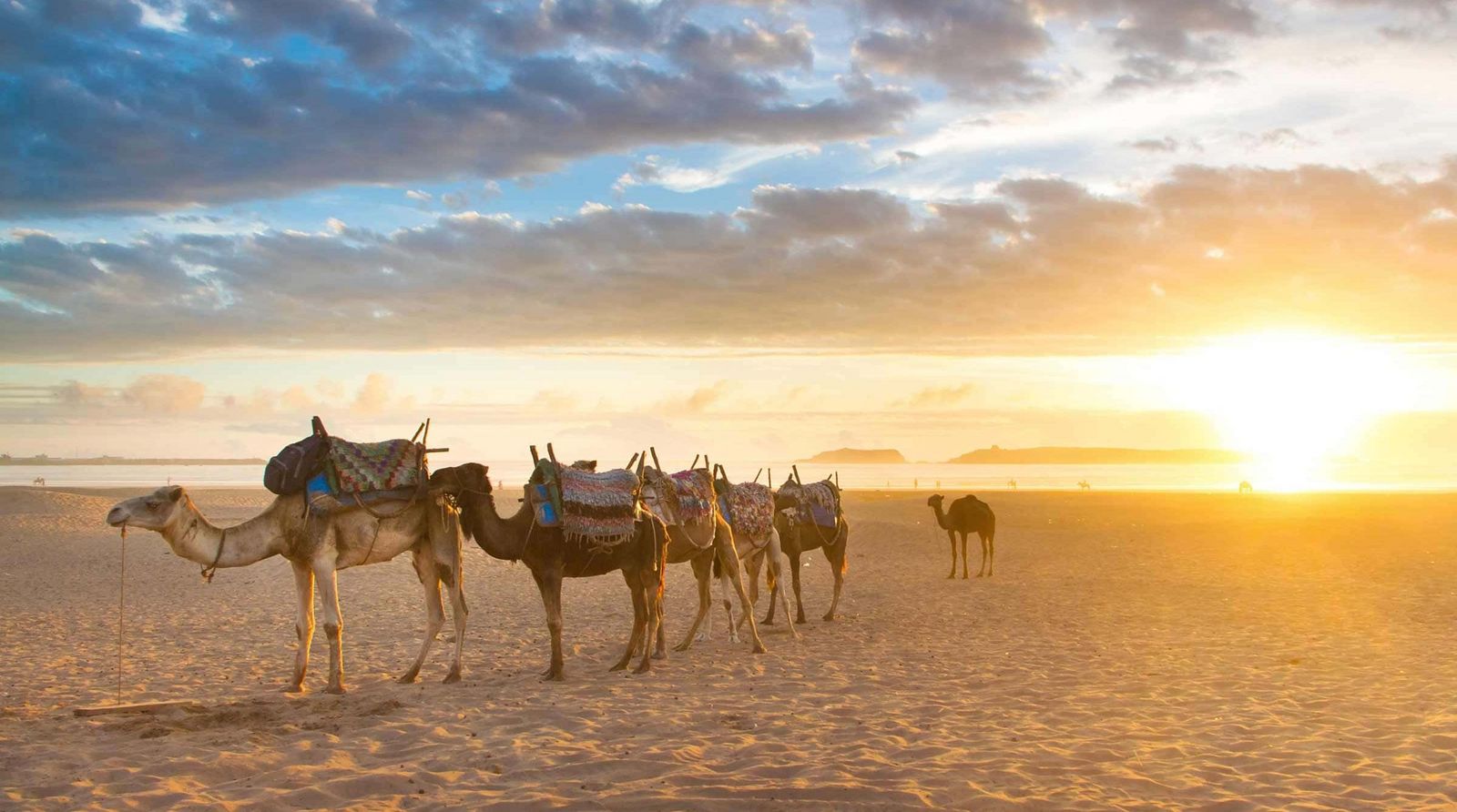 Agadir Agadir Marokko Wueste