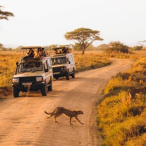 Jeep Safari in Tansania